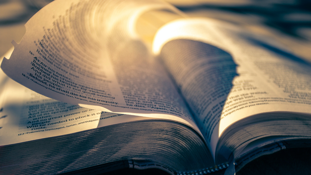 Expo Bible